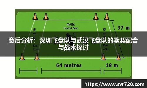 赛后分析：深圳飞盘队与武汉飞盘队的默契配合与战术探讨